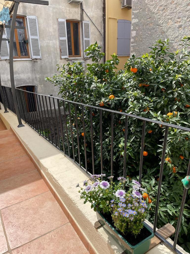 Appartements Climatises - Vieil אנטיב מראה חיצוני תמונה